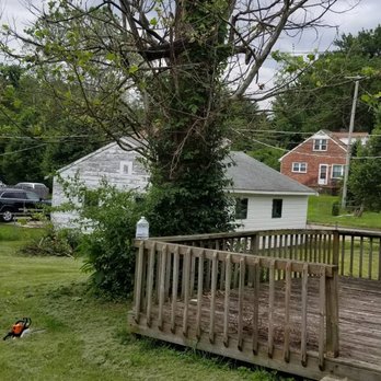 Dynamic Tree Service - Tree Services Near Me