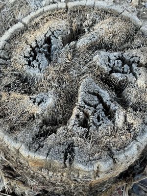 Lake Mead National Recreation Area by null