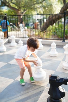 The Arboretum by null