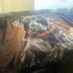 Mr Shings - I love dog