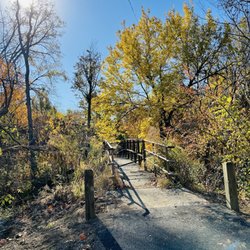 Ellenberger Park - Bridge to nowhere