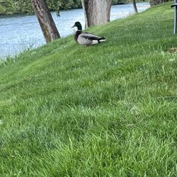 Bridgeview Rv Resort - The best view!
