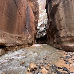 Zion Adventures - The Narrows Hike