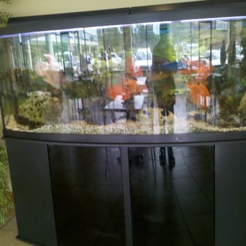 Ha's Kitchen - This is the clean fish tank everybody keeps talking about.  Some kids already finger printed the glass but clean inside. - Vietnamese Near Me - Houston, Texas