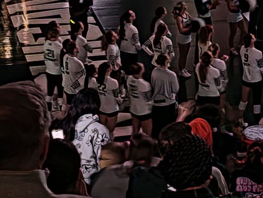 MSU Recreational Sports and Fitness Services