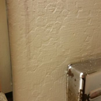 Hollister Inn - One of several odd discolorations on the walls throughout. The tissue box... rusted and battered. - Hotels Near Me - Hollister, California Hollister Inn - One of several odd discolorations on the walls throughout. The tissue box... rusted and battered. - Hotels Near Me - Hollister, California