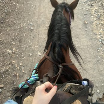 Ponderosa Stables - Sweet girl Cupcake - Horseback Riding Near Me - Phoenix, Arizona Ponderosa Stables - Sweet girl Cupcake - Horseback Riding Near Me - Phoenix, Arizona