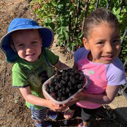 Harvest House Childcare