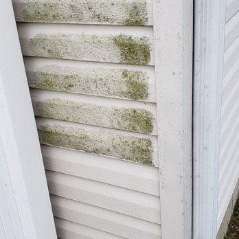 Hydro Clean Services - Algae removal service - Window Washing Near Me Hydro Clean Services - Algae removal service - Window Washing Near Me
