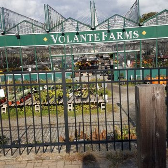 Volante Farms - the entrance to volante farms - Nurseries & Gardening Near Me - Needham, Massachusetts