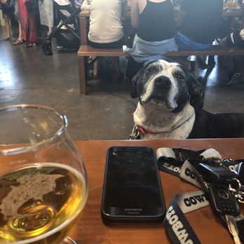 Fieldwork Brewing Co. - Breweries Near Me - Berkeley, California