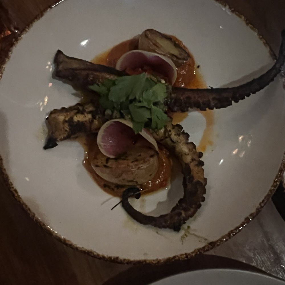 FLINT by Baltaire - Wood Grilled Spanish Octopus Dinner - New American Near Me - Phoenix, Arizona
