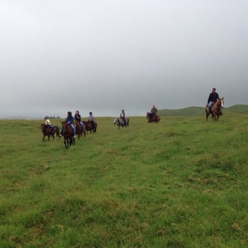 4D Quarter Horses - Horseback Riding Near Me - Kailua-Kona, Hawaii