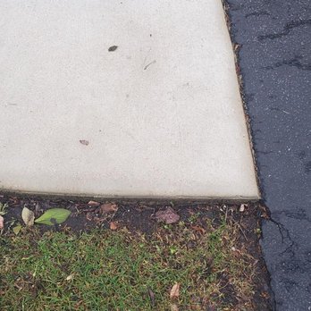 Balanced Environments - Result of balanced continually cutting grass too short - Landscaping Near Me - Lombard, Illinois