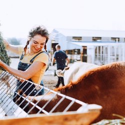 Blue Barley - Explore the California Cheese Trail with your team and experience a face-to-face rendevous with the animals who contribute the milk!