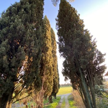 Fattoria del Teso - Wineries Near Me - Montecarlo, LU