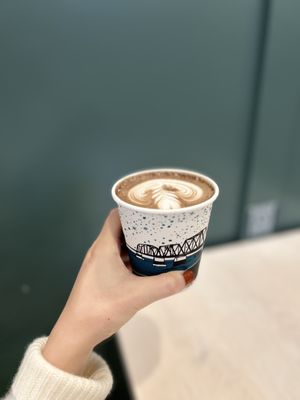 Black Oak Coffee Roasters by null