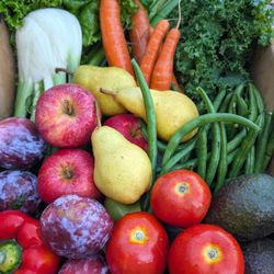 SLO Veg - This week's fresh harvest box Oct 7-11, 2025