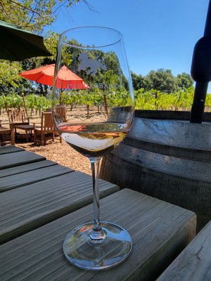 Saddleback Cellars by null