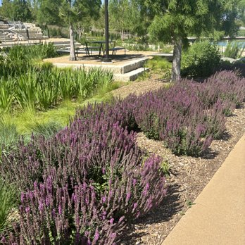 Sharp Masonry & Landscape - Masonry/Concrete Near Me
