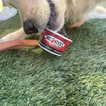 Bruster's Real Ice Cream - Desserts Near Me - Yorba Linda, California