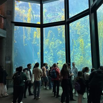 Monterey Bay Aquarium - Inside - Aquariums Near Me - Monterey, California Monterey Bay Aquarium - Inside - Aquariums Near Me - Monterey, California