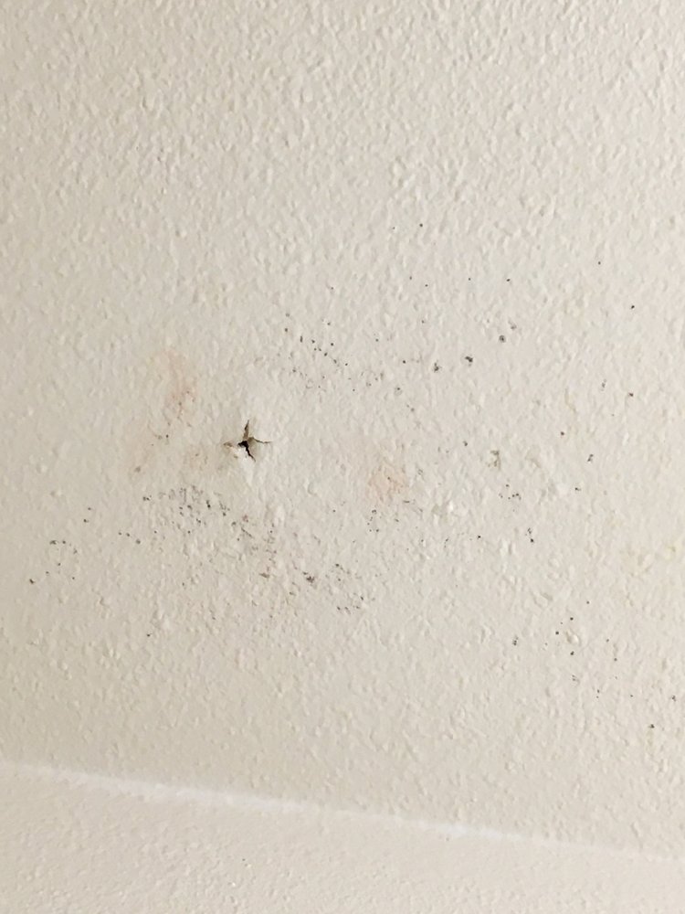 SANDPIPER POINT APARTMENTS Updated September 2024 13 Reviews 1451