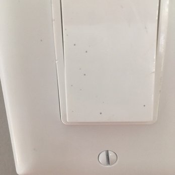 You've Got Maids - One of the many light switches that were supposed to be cleaned in the "52 Point Clean" - Home Cleaning Near Me - Orland Park, Illinois You've Got Maids - One of the many light switches that were supposed to be cleaned in the "52 Point Clean" - Home Cleaning Near Me - Orland Park, Illinois