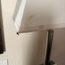 Holiday Inn & Suites Grand Junction-Airport - Bugs and stains on lamp and night stands.