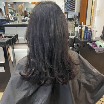The Salon - Hair Salons Near Me - Cypress, California