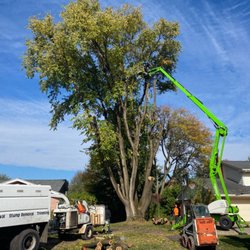 Smetters Tree Service