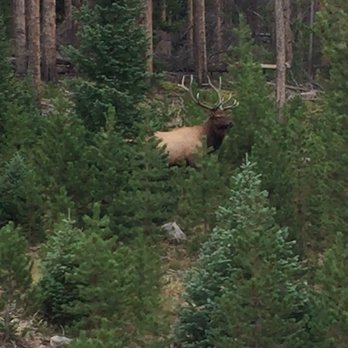 Timber Creek Campground - Parks Near Me - Grand Lake, Colorado Timber Creek Campground - Parks Near Me - Grand Lake, Colorado