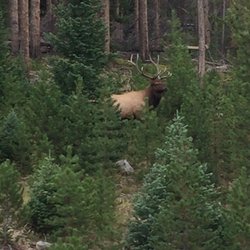Timber Creek Campground