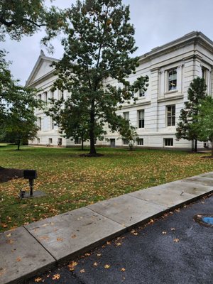 American University by null