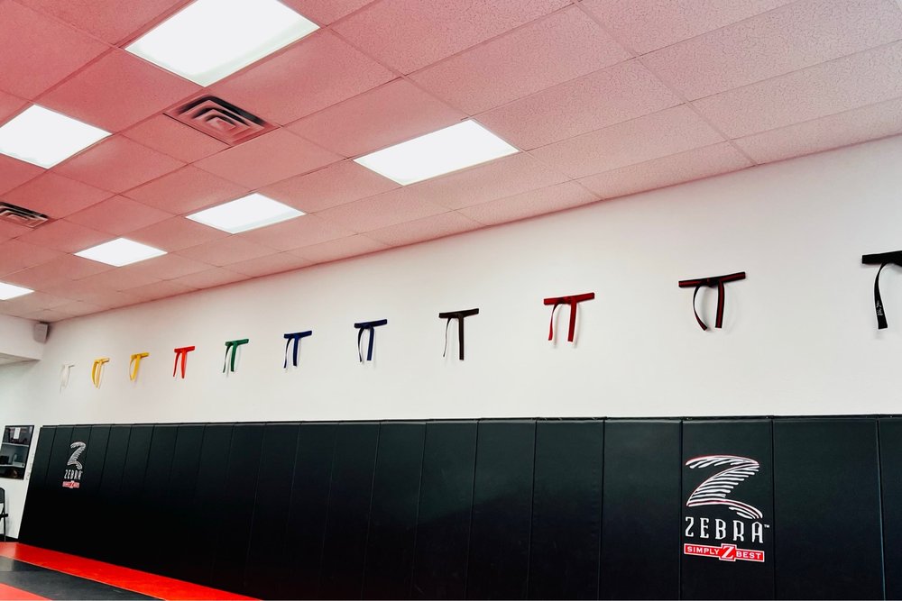 Elite Martial Arts Logo