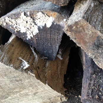 A Cut Above Tree & Stump Removal - a close up of a piece of wood - Landscaping Near Me - Oak Forest, Illinois A Cut Above Tree & Stump Removal - a close up of a piece of wood - Landscaping Near Me - Oak Forest, Illinois