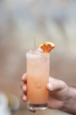 Paloma by null