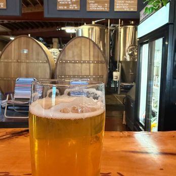 Bristlecone Brewing Company - Breweries Near Me - Reno, Nevada