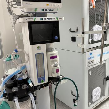 Revive Veterinary Emergency & Specialty Hospital - Emergency Pet Hospital Near Me - Prosper, Texas Revive Veterinary Emergency & Specialty Hospital - Emergency Pet Hospital Near Me - Prosper, Texas