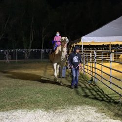 The Wonderland Of Lights - 1 Camel Ride for $10