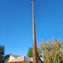 Photo of Matias tree service and landscape contractor