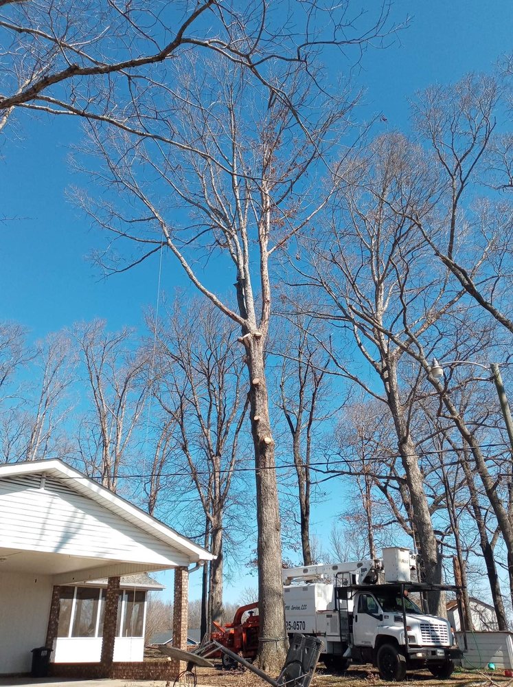 3 Kings Tree Services - tree service in Woodruff, SC