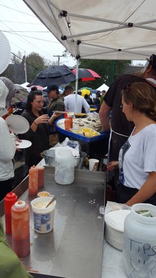 Wellfleet OysterFest by null
