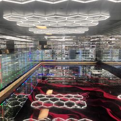 Black Mamba Smoke Shop