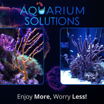 Aquarium Solutions - Aquarium Services Near Me Aquarium Solutions - Aquarium Services Near Me