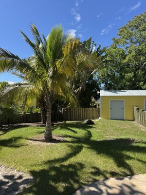 Naples Zoo at Caribbean Gardens by null