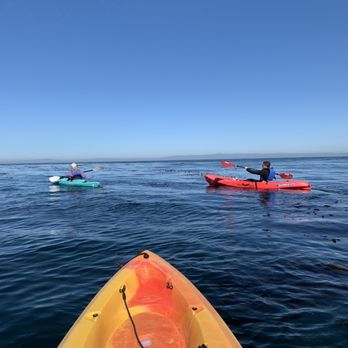 Adventures By The Sea - Tours Near Me - Monterey, California