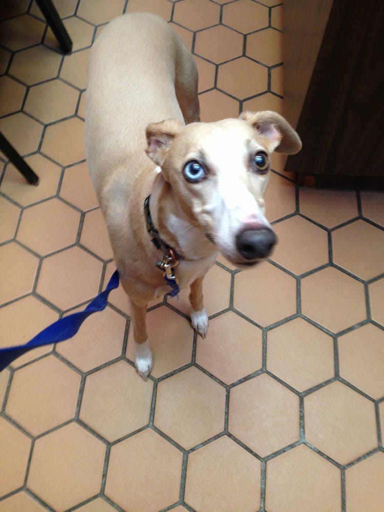 GRAHAM ROAD ANIMAL HOSPITAL Updated October 2024 19 Reviews 713