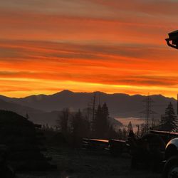 Lamb's Christmas Trees, Fairfieid - Sublimity, Oregon