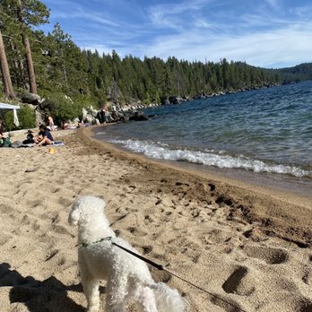 Chimney Beach - Dog friendly(: - Beaches Near Me - Carson City, Nevada Chimney Beach - Dog friendly(: - Beaches Near Me - Carson City, Nevada